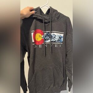 Gray Denver Hoodie with Mountain Print